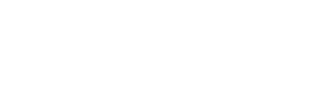 Camerer Real Estate Logo